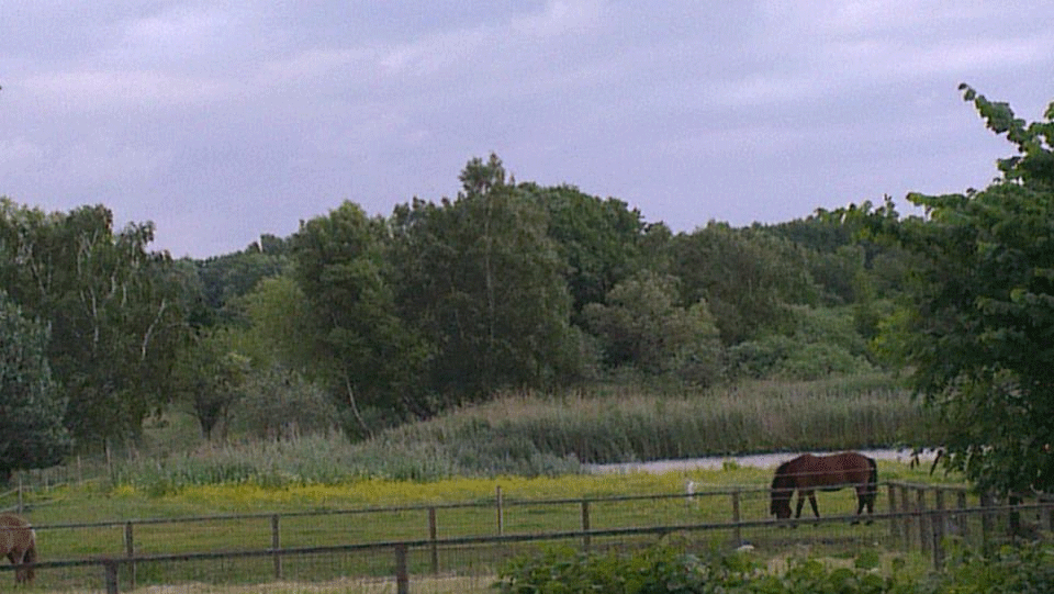 hestefold tisvildeleje udsigt fra terrasse
